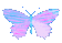 CZbutterfly