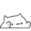 bongoTap bongoTap