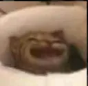 loam