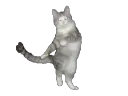 FUCK_GETOUTPFMYHEADGETOUTMFKD