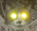 zeusrage