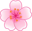 p_FlowerBlossom