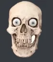 skull2