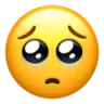 pleading