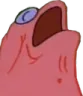 patnut