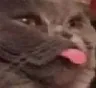 Jonya
