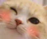 829702957586710618 829702957586710618