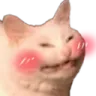 catblush