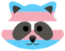 transraccoon