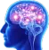 BigBrain