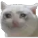 SadCat
