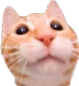 AlsoGoodCat