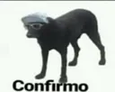 confirmo