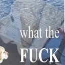 whatthefuck