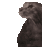 Michi_takingshower Discord emoji