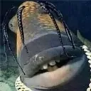 travisfish