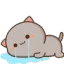 asin_cry