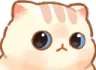 stare