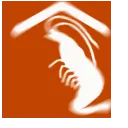 Worship_201
