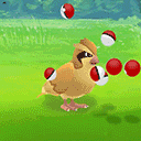 catchme Discord emoji