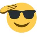 lolE_coolsalute lolE_coolsalute