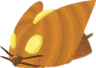 ChuPumpkin