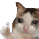 cryinoice