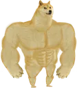 buff_doge buff_doge