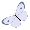 butterflypurpal