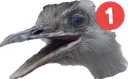 KevinPing