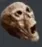 Skull4