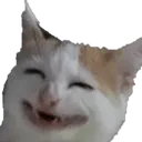 kekw