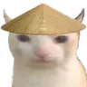 ChinaCat ChinaCat