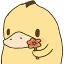 duckflower duckflower