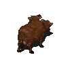 brahminspin