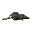 RatSpin