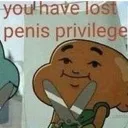pp_gone