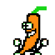 DanceCarrot