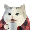 cattea