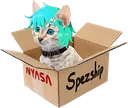 RTXNyaBox RTXNyaBox