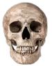 androidemoji androidemoji