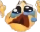 pain pain
