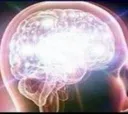 bigbrain bigbrain