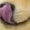 yum_yum