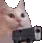 Cat_Gun