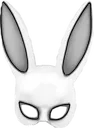 bunnymasquarde2