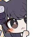 peek peek