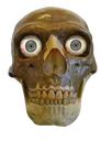 neanderthalskullneanderthalskull