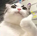 okay_pusssyyy