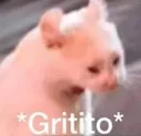 gritito